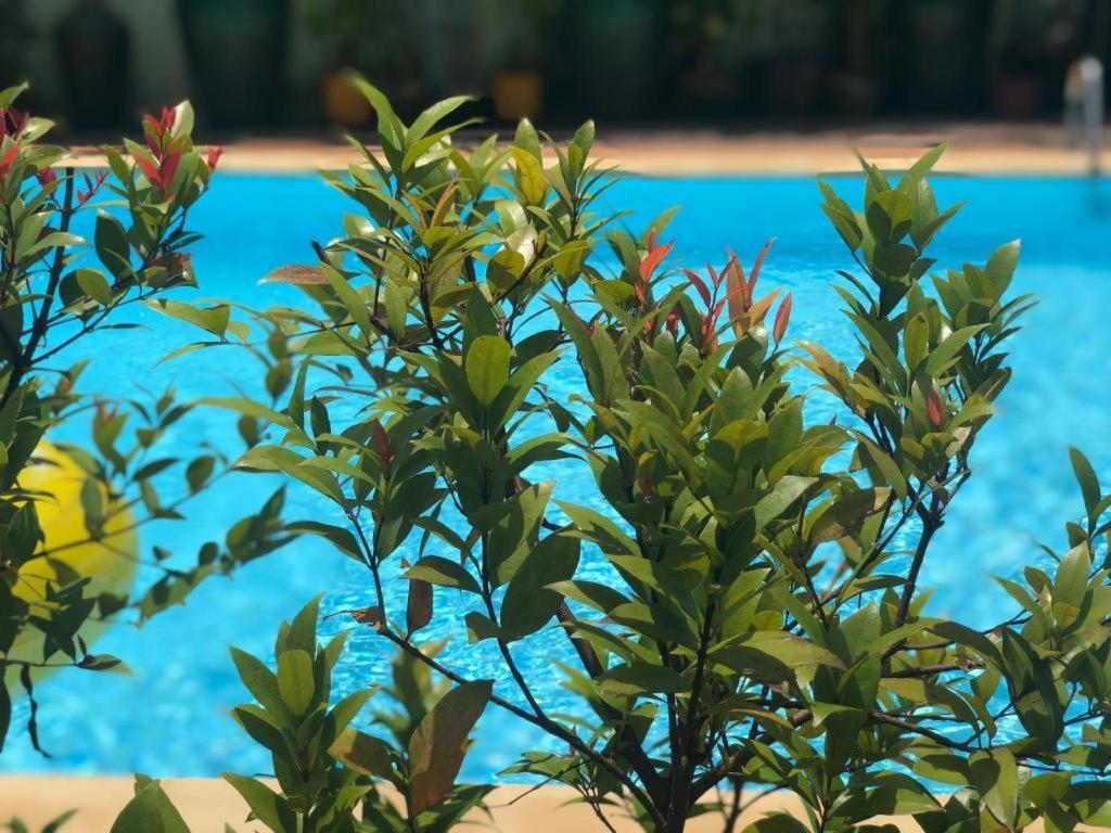 יאנגון Ten Mile Hotel מראה חיצוני תמונה